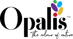 opalkis-heading-logo