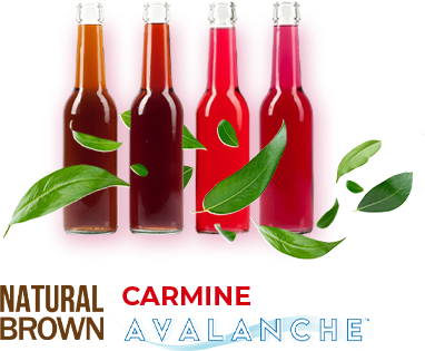 Carmine Bottles