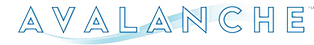 Ava Logo