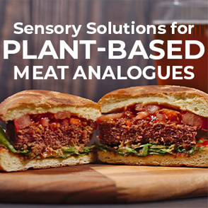 sensory-solutions-plant-based-meat-analogues