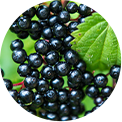 5-Elderberry
