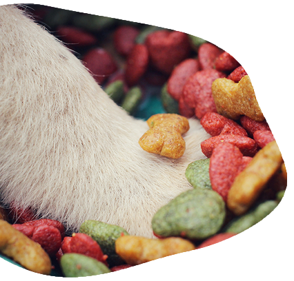 ingredientes naturales de alimentos para mascotas