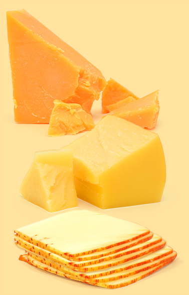 Say-Cheese-orange